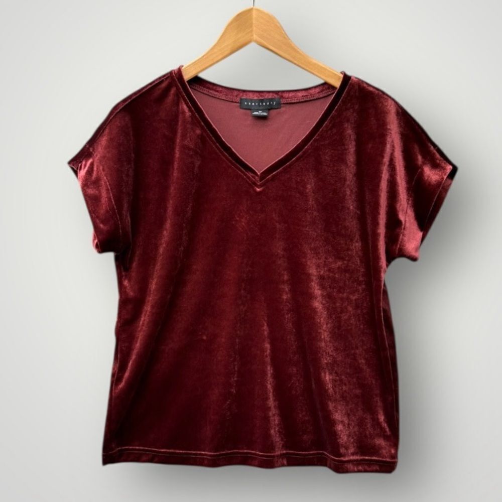 5 for $45 Sanctuary Velvet Top Blouse Shirt Size XS